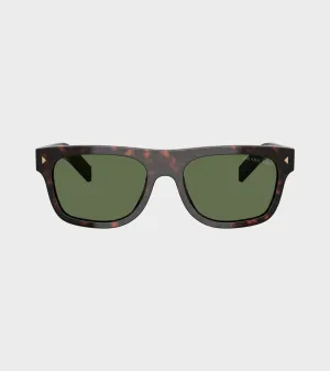 0PR B12S Root Tortoise/Polar Green